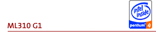 ML310 section header